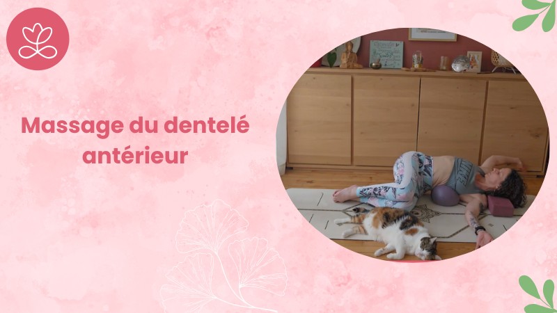 Massage du dentelé antérieur